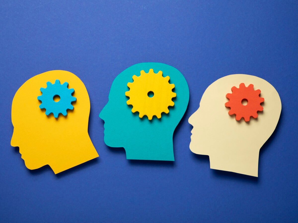 Understanding the Teenage Brain: A South African Guide