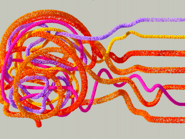 Unlock Infinite Potential: 10 Amazing Facts on How the Brain Learns