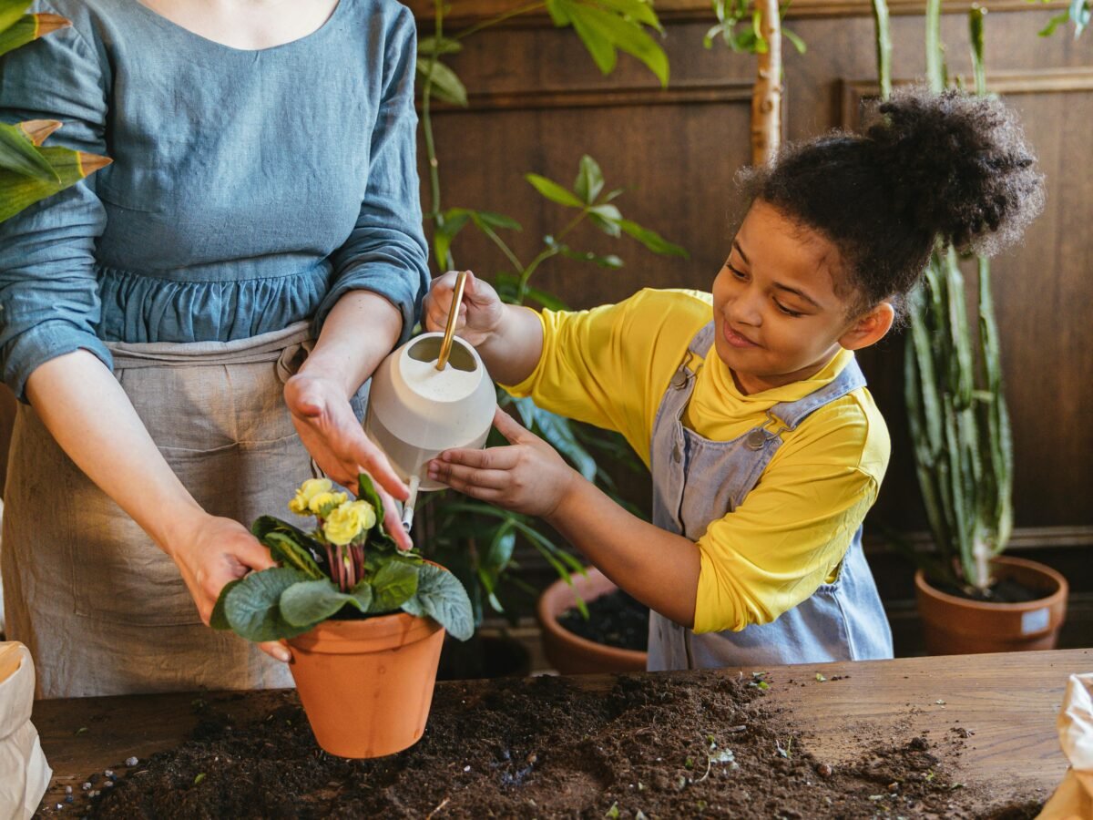 20 Spring Activities for Families in SA: Creating Love