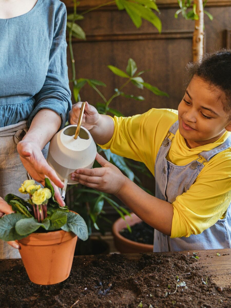 20 Spring Activities for Families in SA: Creating Love